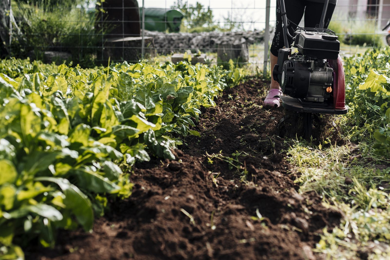 Agriculteur